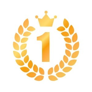 �͵�No.1�֥��󥬥롼���ɥ꡼���ץ����