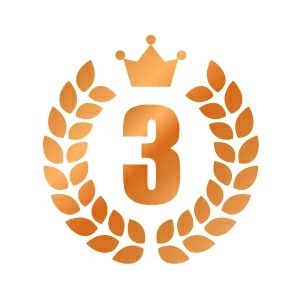 �͵�No.3�ֱ��褱����ʪ�ƥ�ȡ�