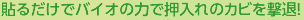 �դ���а�ư���饯�ˤʤ롪
�����ե���ҡ��������Ѣ�