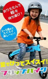flipbike