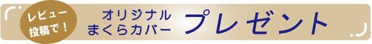 ¥ì¥Ó¥å¡¼¤ò½ñ¤¤¤ÆËí¥«¥Ð¡¼¥×¥ì¥¼¥ó¥È