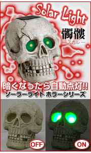 �����顼�饤�ȳ���