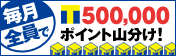T�ݥ����500,000�ݥ���Ȥ�ʬ��