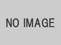 ����ס��ޥ������η����󥯥꡼�ȥޥ�����SWK-30���ݸ�ץ졼��