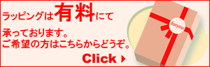 ��åԥ󥰤Ϥ�����