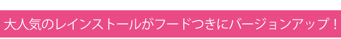���饾�󡡥쥤�󥹥ȡ��� LuLu�ʥ���