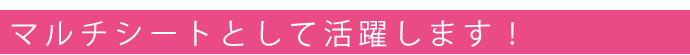 ���饾�󡡥쥤�󥹥ȡ��� LuLu�ʥ���