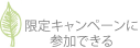 ���ꥭ���ڡ���˻��äǤ���