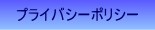 �ץ饤�Х����ݥꥷ��