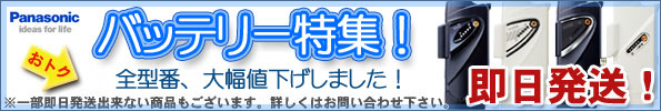 �ѥʥ��˥å��Хåƥ꡼