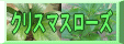 ���ꥹ�ޥ������� (Helleborus)