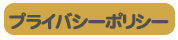 �ץ饤�Х����ݥꥷ��