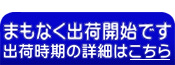 �ޤ�ʤ��в٤Ǥ�