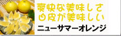 �˥塼���ޡ������