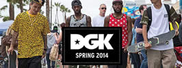 DGK �ǥ�����������