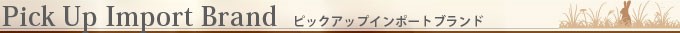 ¥Ô¥Ã¥¯¥¢¥Ã¥×¥¤¥ó¥Ý¡¼¥È¥Ö¥é¥ó¥É
