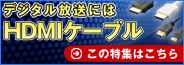 �ǥ����������ˤ�HDMI�����֥�
