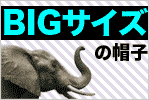 �礭����������˹�ҡ�����ޤ���