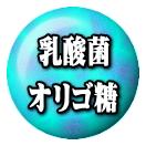 �����ݡ����ꥴ��