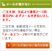 �᡼�뤬�Ϥ��ʤ����