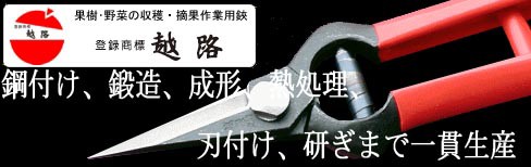 �������ꡡ��ϩ