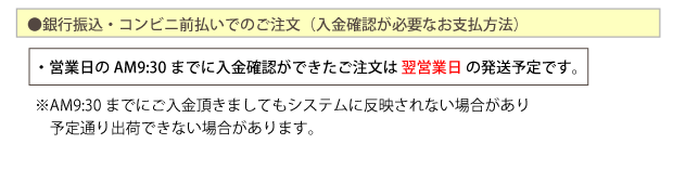 ��Կ���������ӥ���ʧ���ǤΤ���ʸ