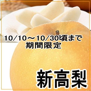 超大玉★厳選【新高】
