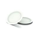 Bagasse plate