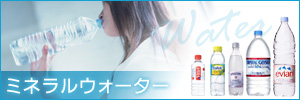 �ߥͥ�륦��������