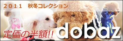 �ɥХ��ǿ������١�