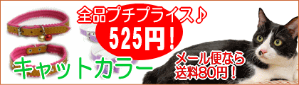 ����525�߶Ѱ졪���襤���ͥ�������Ѽ��ؿ��о����