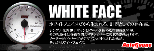 �ۥ磻�ȡ��ե�����