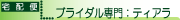 �ڥ֥饤�������祫���������եȡۥƥ�����