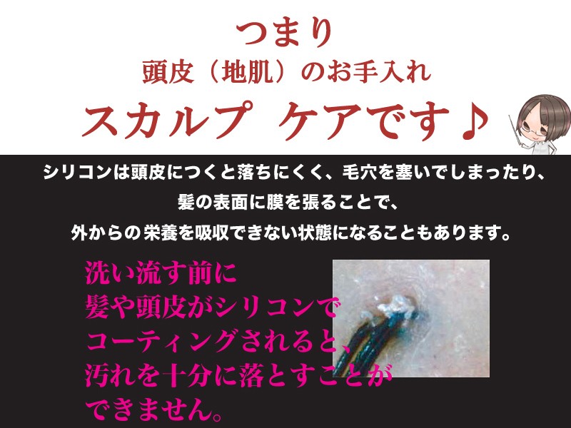 �ڣϣΣ̣ţšۥ���꡼�����ס�II[�Υ󥷥ꥳ�󥷥��ס�]