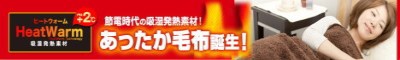 HeatWarm(�ҡ��ȥ�������)ȯǮ���ä���2���碌����