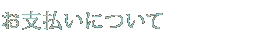 ����ʧ���ˤĤ���