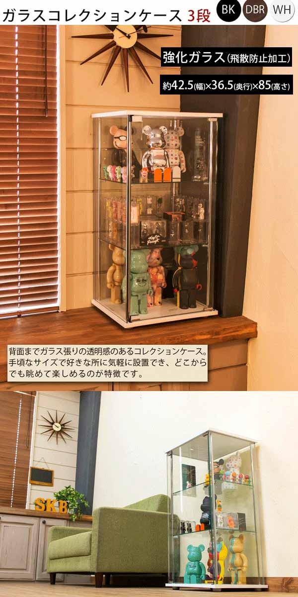 コレクションケース
