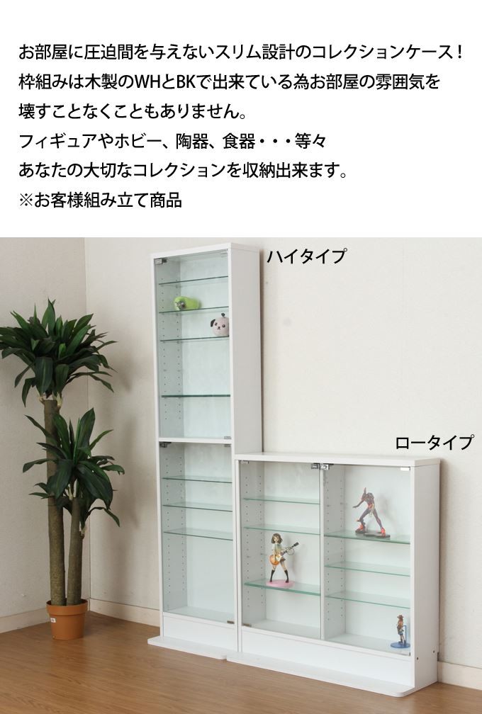 コレクションケース