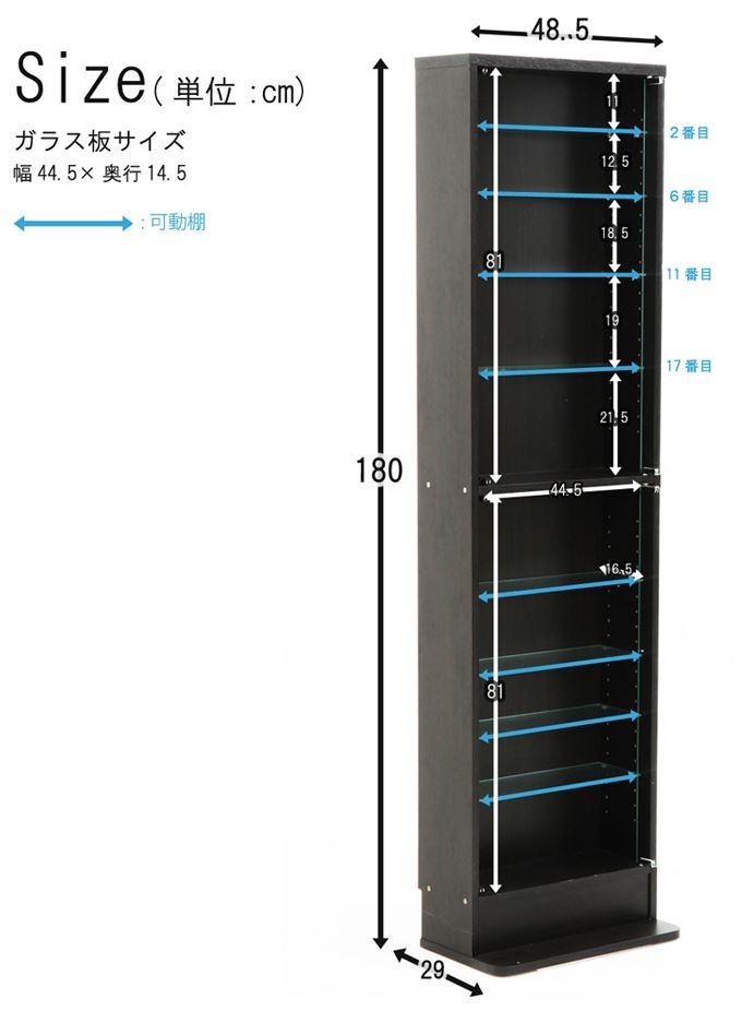 コレクションケース
