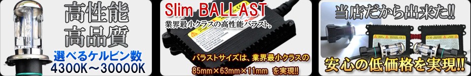 �ȳ��Ǿ����饹��HID�Х饹�ȥ��åȡ�4300��30000����ӥ�ޤ��������б�!!