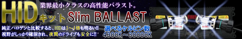�ȳ��Ǿ����饹��HID�Х饹�ȥ��åȡ�4300��30000����ӥ�ޤ��������б�!!