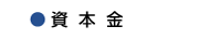 ミナミ工芸,資本金