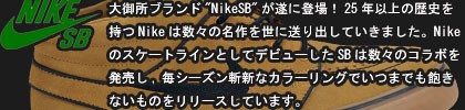 nikesb