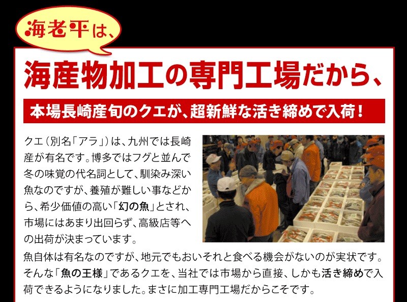 高級魚クエ│くえ
