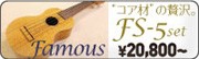 Famouns FS-5 �����०�����鿴�ԥ��å�