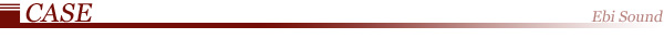 �Ƽ辰����