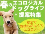 2012�դΥ�����������ɥå��饤������ý�