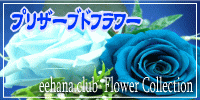 �ץꥶ���֥ɥե��ý���