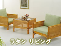 �饿��(ƣ)��ӥ󥰥��åȥ��꡼
