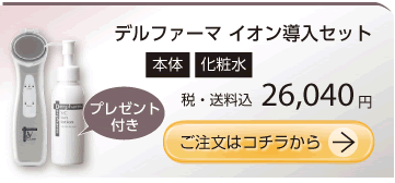 �ǥ�ե����ޡ�������Ƴ�����å�